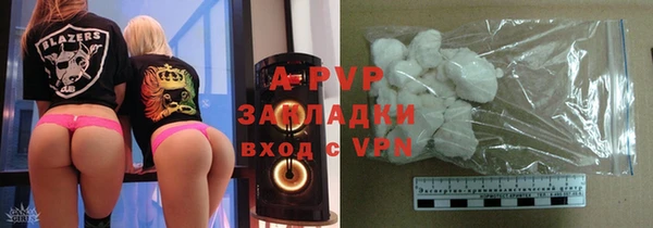 спайс Богданович