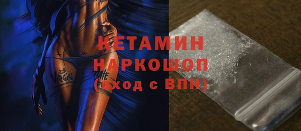 гидра Богородск