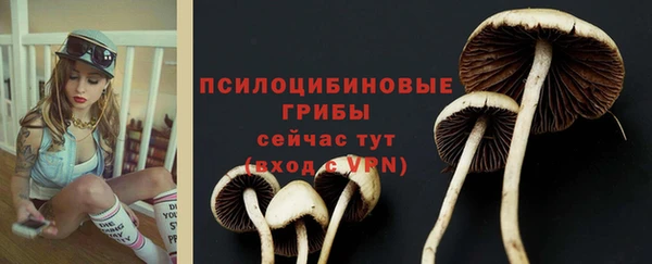 марки lsd Арсеньев