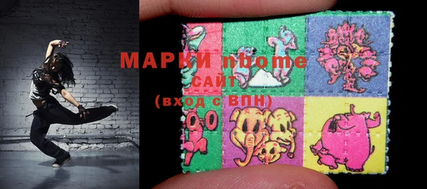 гидра Богородск