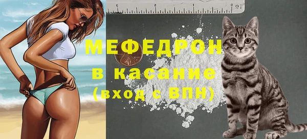 гидра Богородск