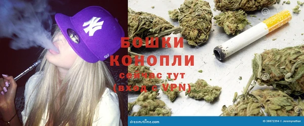 спайс Богданович