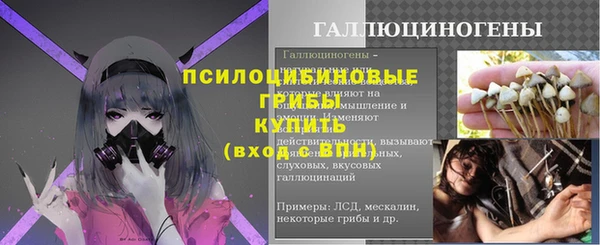 гидра Богородск