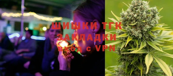 спайс Богданович