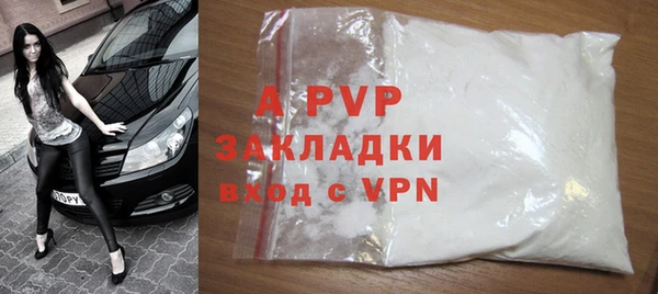 спайс Богданович
