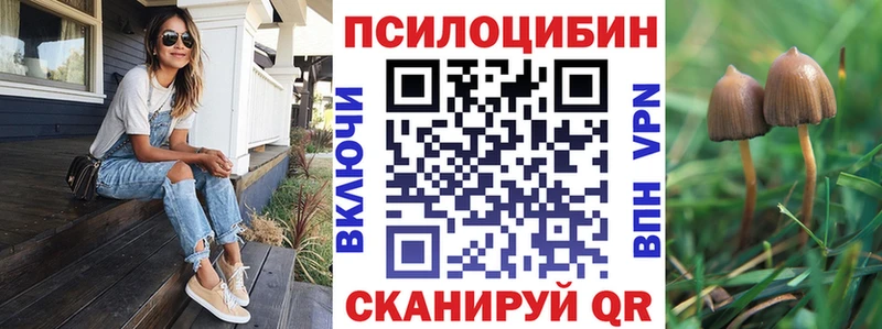 купить наркотики цена  мега ссылка  Галлюциногенные грибы прущие грибы  Петухово 